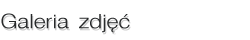 galeria zdjęć