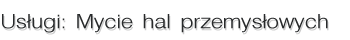 Mycie hal przemysłowych