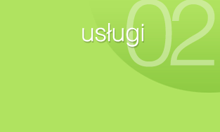 usługi: czyszczenie, sprzątanie