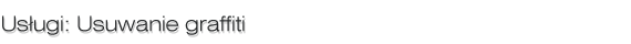 Usuwanie graffiti